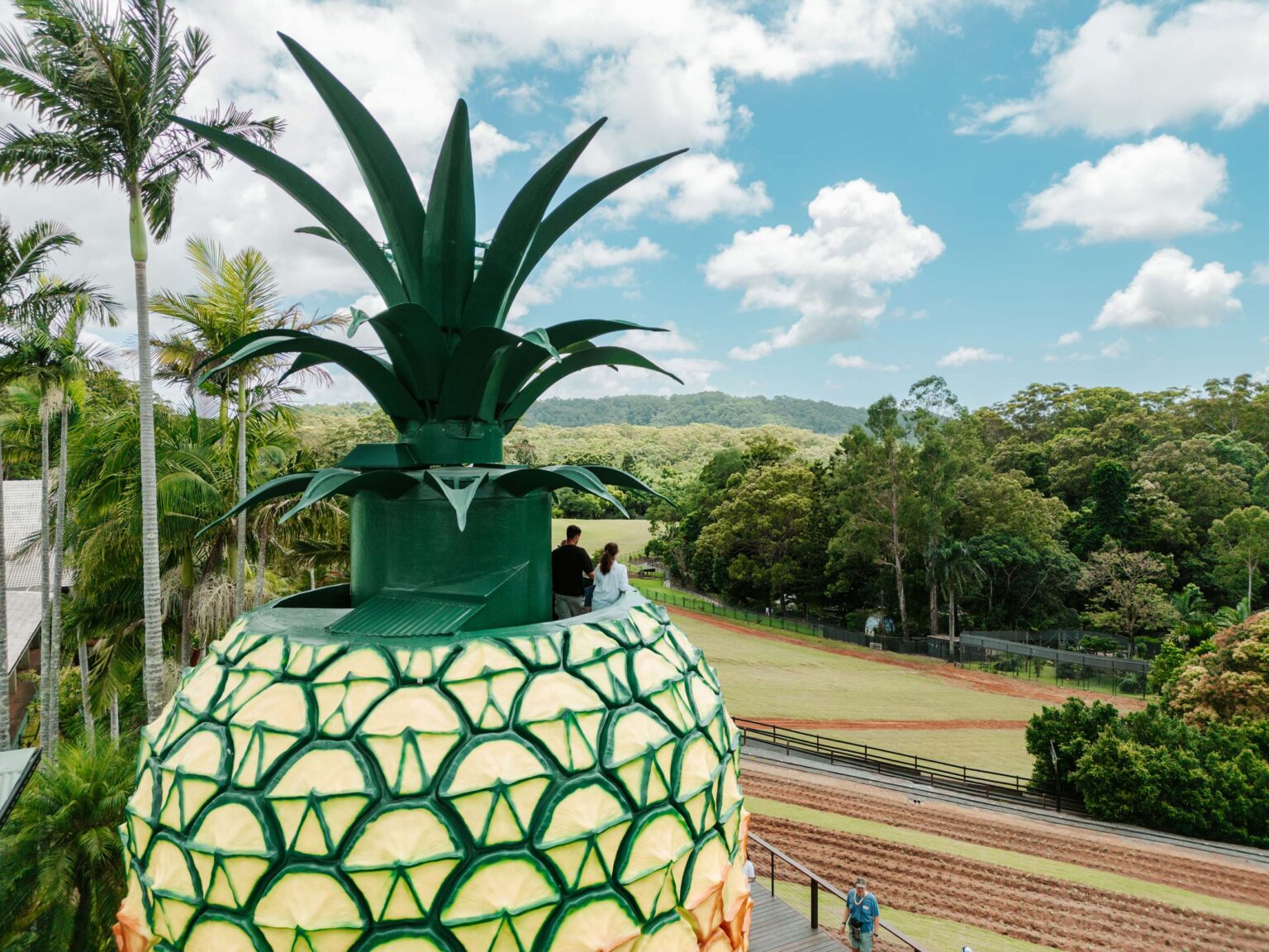 History - The Big Pineapple