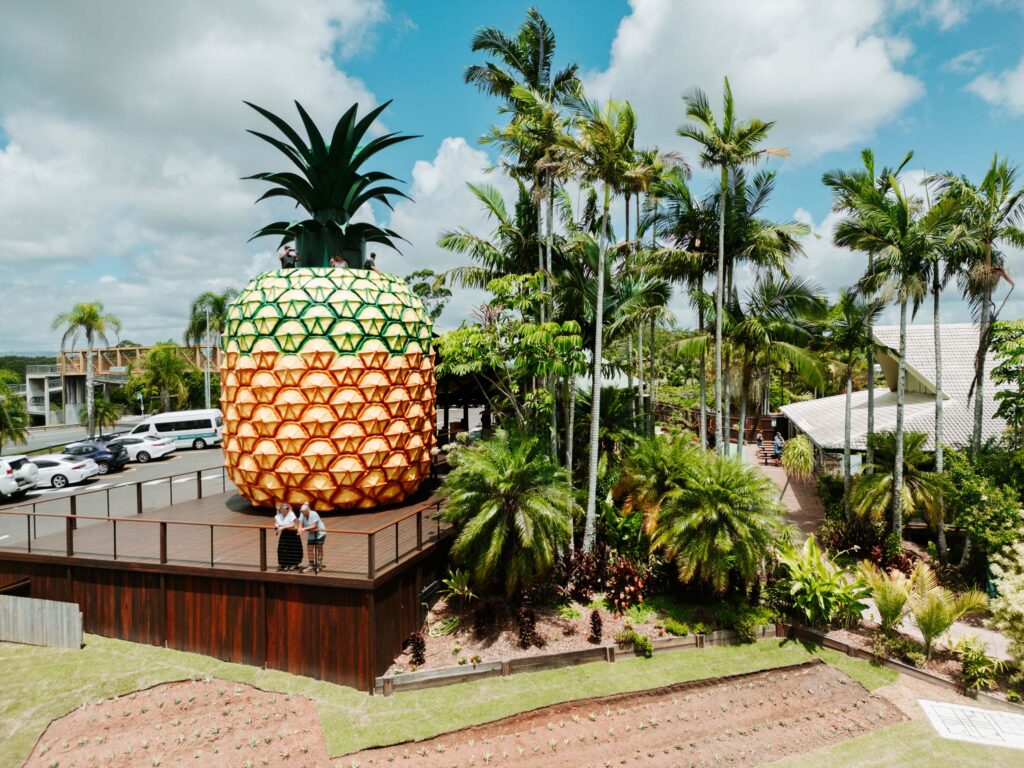 A Sweet Legacy, Renewed 2 - The big pineapple