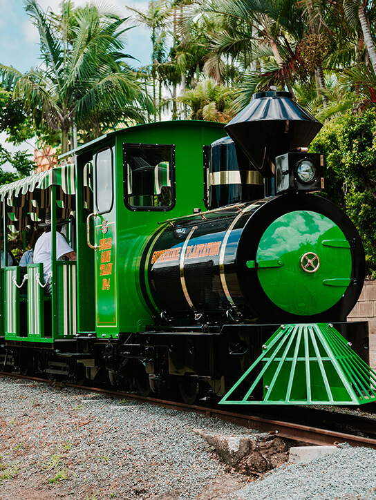 Big Pineapple Train card Big Pineapple Train card