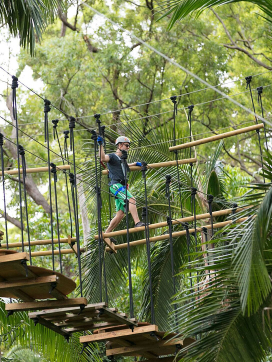 TreeTop Challenge card TreeTop Challenge card